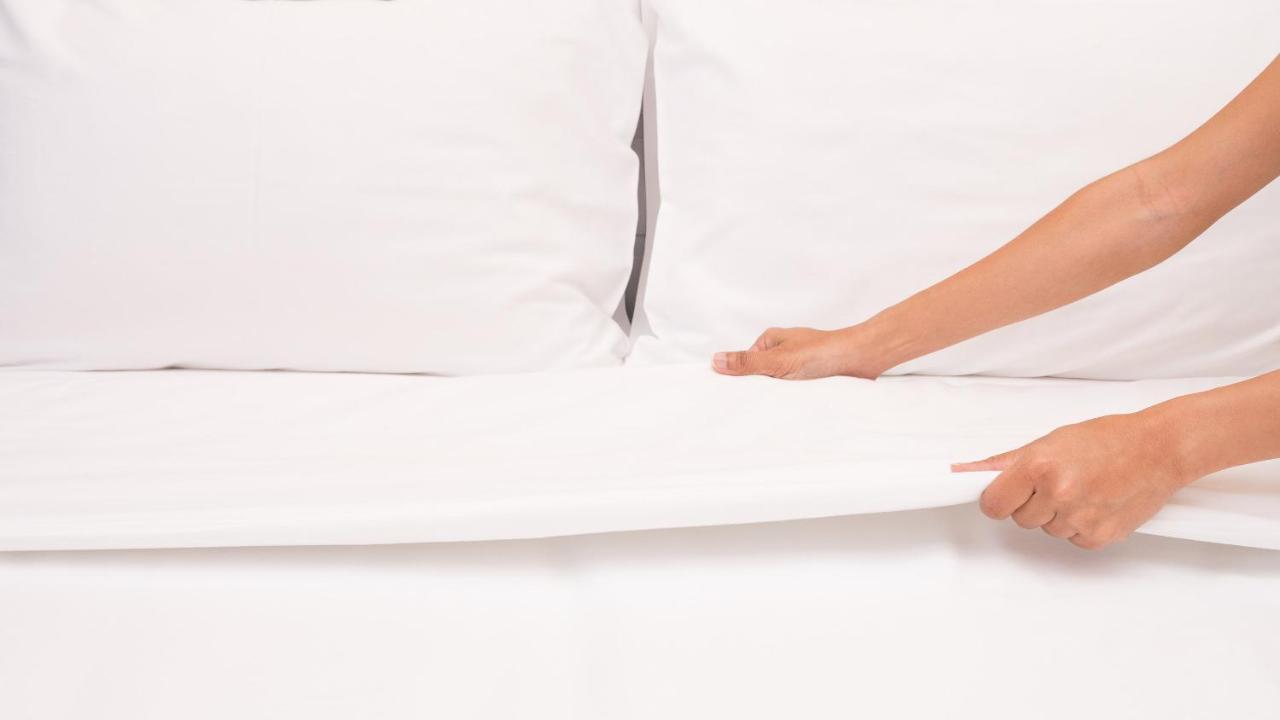 Executive Inn Schulenburg מראה חיצוני תמונה