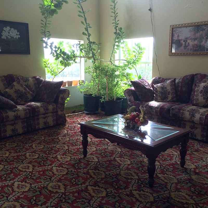 Executive Inn Schulenburg מראה פנימי תמונה